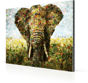Fotomozaiek op Alu-Dibond met olifant