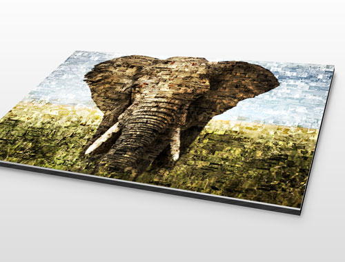 Fotomozaiek op aluminium gedrukt met voorbeeld olifant
